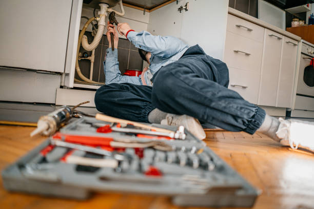 Best Same-Day Plumbing Service  in Pho, IL